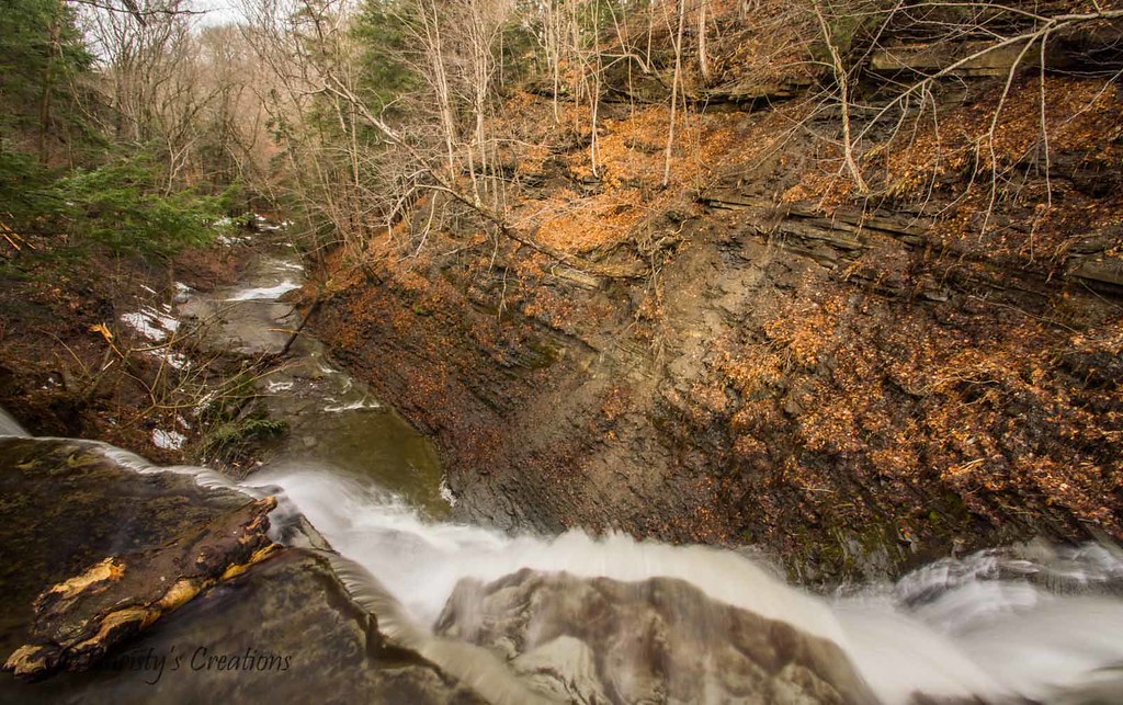 Elevation of Burroughs Rd, Cowlesville, NY, USA Topographic Map