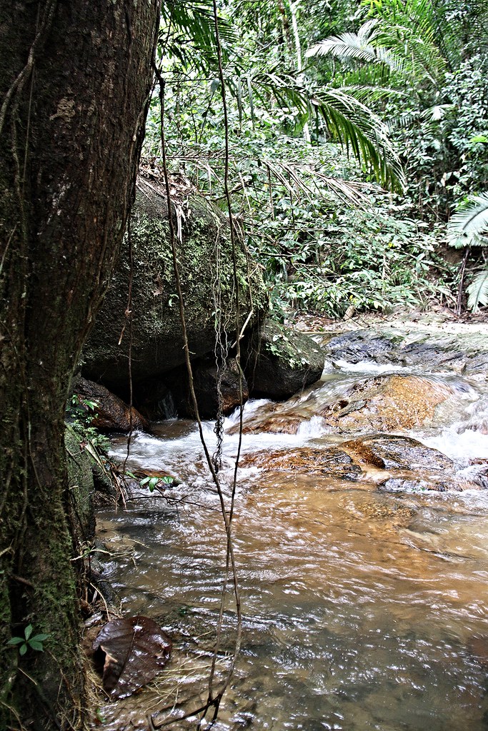 Bukit Enggang FR, Sik, Kedah Bukit Enggang FR, Sik