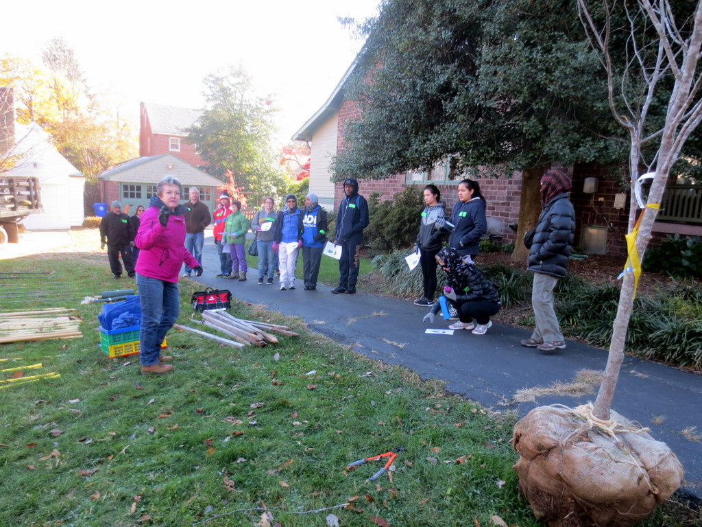 Conservation Montgomery Takoma Park Tree Planting Project Flickr