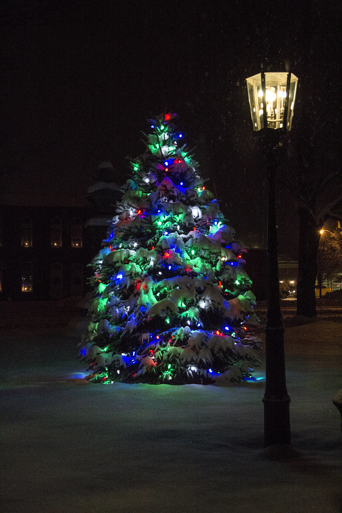Christmas tree on Wellsboro Green Flickr