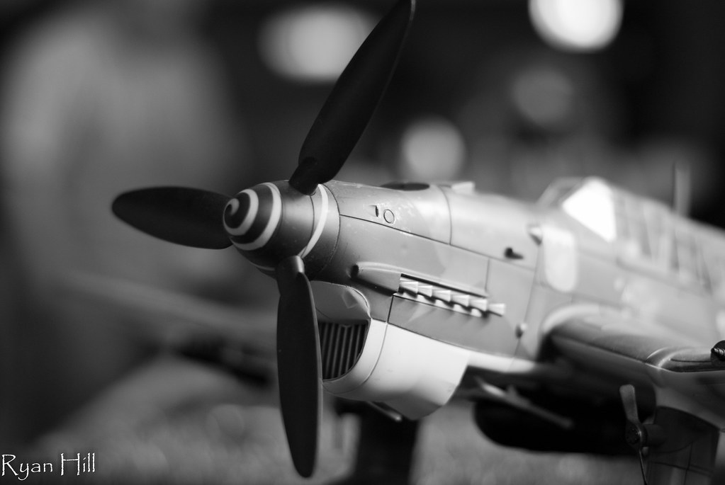 DSC_0403 Ryan Hill Photography Flickr