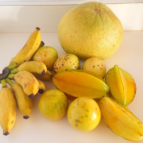 Fruit from the Kauai farmers' market mini apple bananas, … Flickr