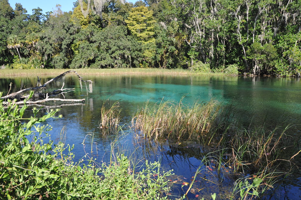 Rainbow Springs State Park FWC photo by Greg Workman Flickr