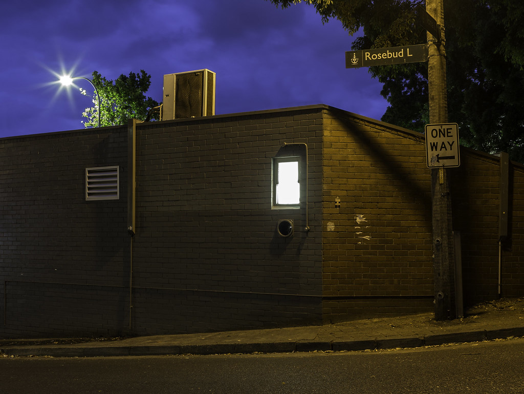 Rosebud Revisited A photographic homage to Thomas Weinberg… Flickr