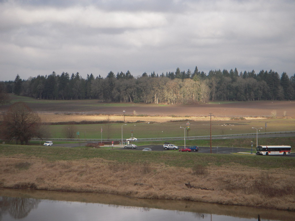 Sauvie Island Bridge Parking lot and a patch of sun. Nancy Flickr