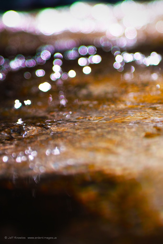 Fairy Tale 4a Faerie Lights YOLO'14 Theme4a AISD1M01734e.… Flickr