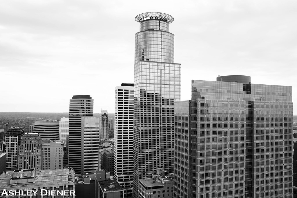 Blacks and Whites bridiener on Instagram Ashley Bree Photography