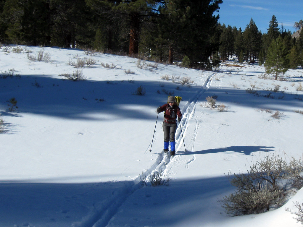 XC skiing near Mammoth Lakes Mitch Barrie Flickr