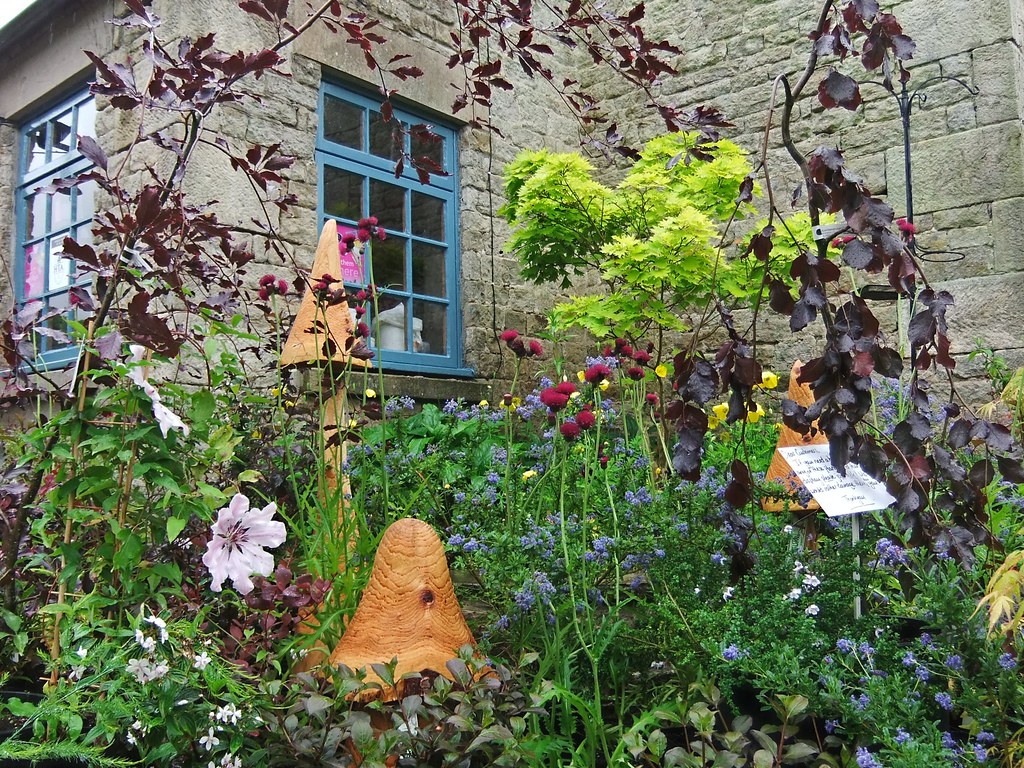 plants and toadstools To buy at the Eggleston Nursery Flickr