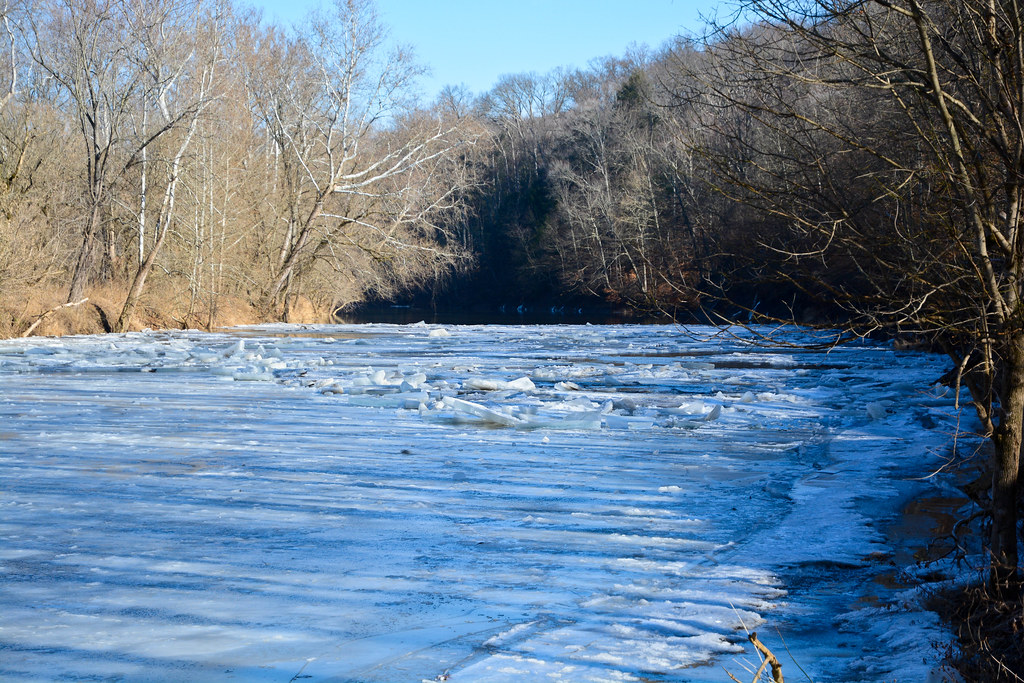2015.01.19 Mossy Point Nature Preserve Flickr