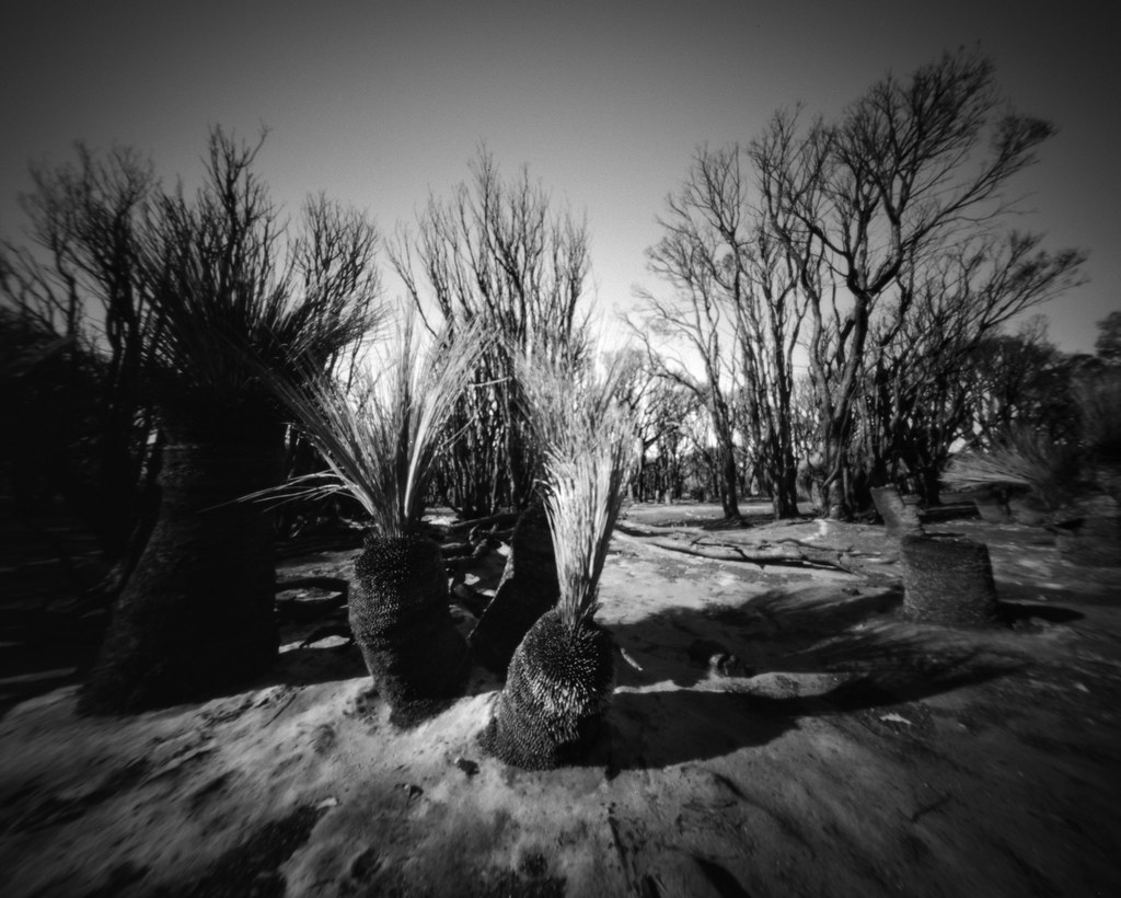Ellenbrook Bushfire 5 Pinhole Pinhole image taken after … Flickr