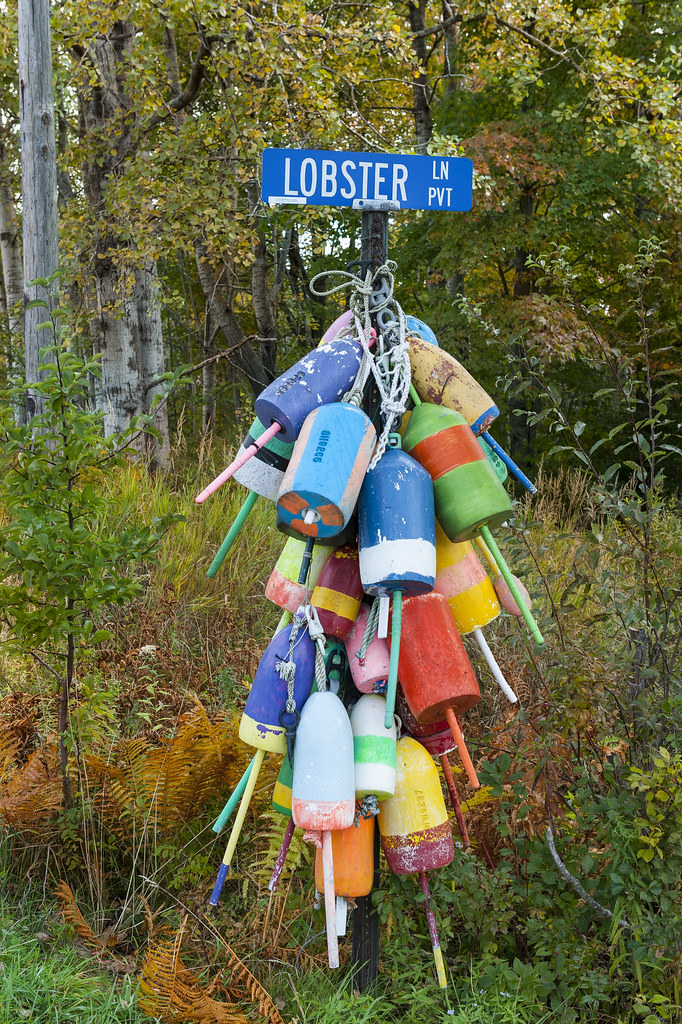 0554G386 Lobster buoys, Owls Head, Maine, USA. John Greim Flickr