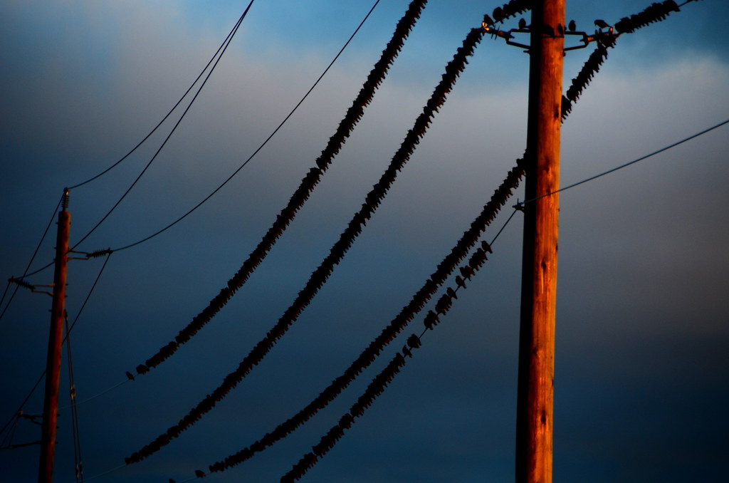 Telegraph Road Near Alliston, Ontario. Dave Flickr