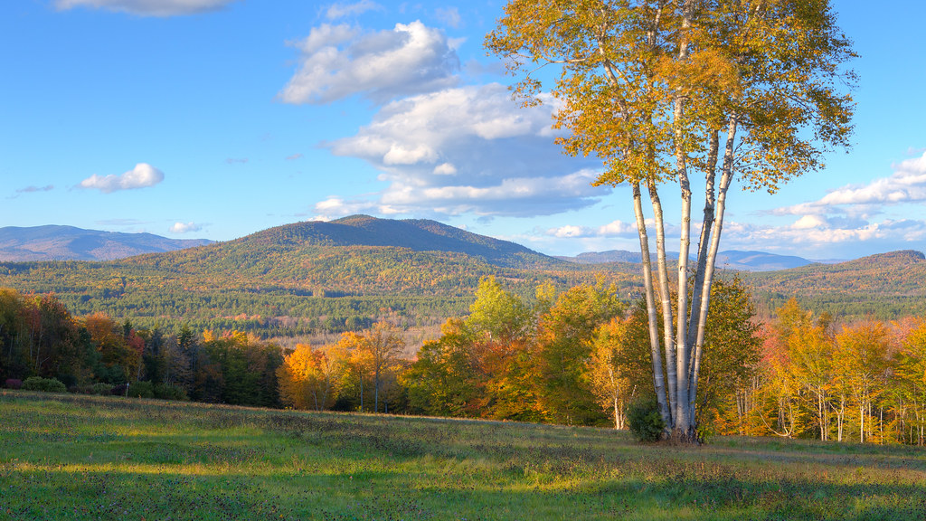 Elevation of Intervale Rd, Bethel, ME, USA Topographic Map Altitude Map