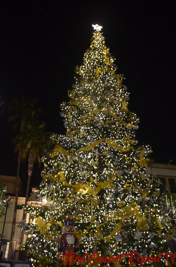 Paramount Christmas Tree DSC_0024 www.redcarpetreporttv.… Flickr