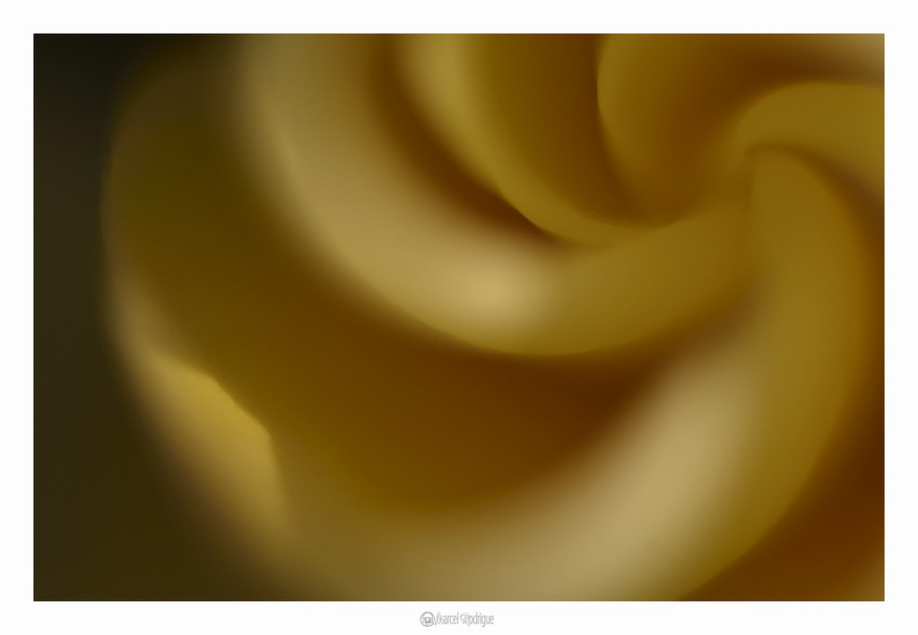 Nambucca Heads macro flower Marcel Rodrigue Flickr