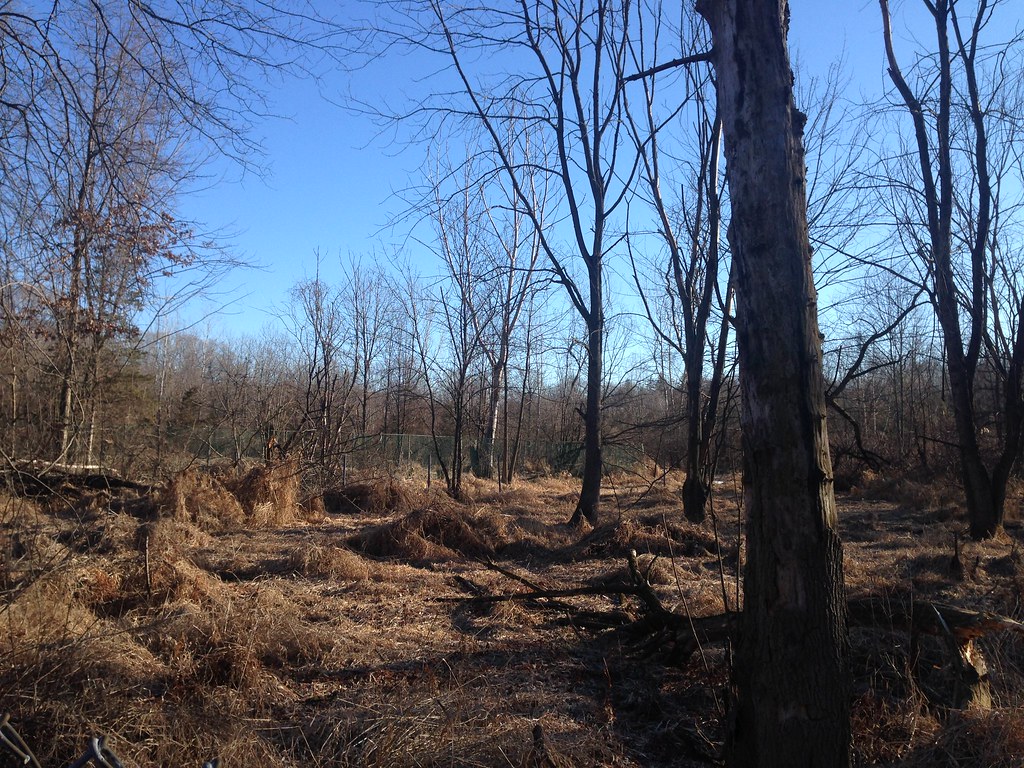 05 Great Oak Park 05 What was the "Pleasureland Massacre" … Flickr