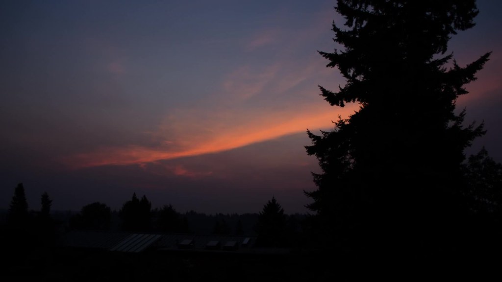 20150823_h264420_1080p_24_MQ Bellevue sunrise through f… Flickr