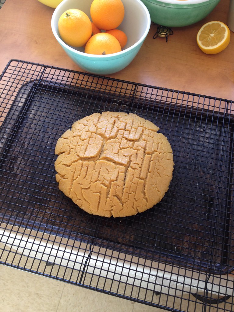 IMG_5982 Sayward Rebhal Flickr