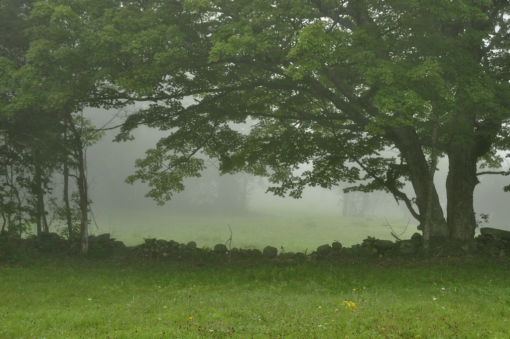 _DSC0162 Foggy morning, West Road, Westminster West VT Putneypics Flickr