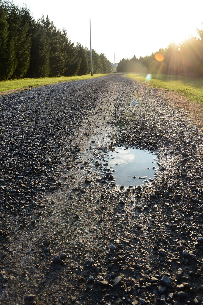 La rue La rue. Matthew Senior Flickr