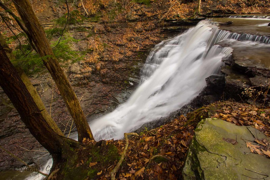 Elevation of Burroughs Rd, Cowlesville, NY, USA Topographic Map