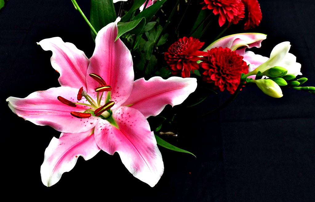 Ikebana Show, Centennial Conservatory, Toronto, ON Flickr