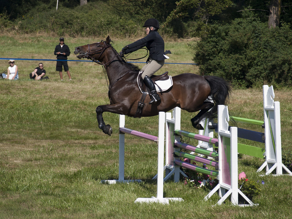 Cross Country Jumping 2014 Whidbey Island Horse Trials, … Flickr