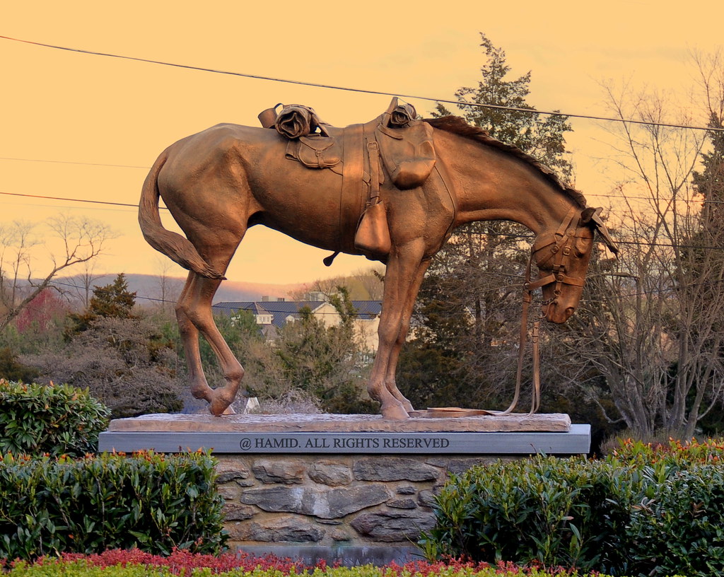 HISTORIC MIDDLEBURG VA HORSE COUNTRY Now a country townshi… Flickr