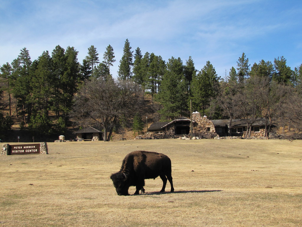 16 03 2012 South Dakota_Black Hills Valentina Collodel Flickr
