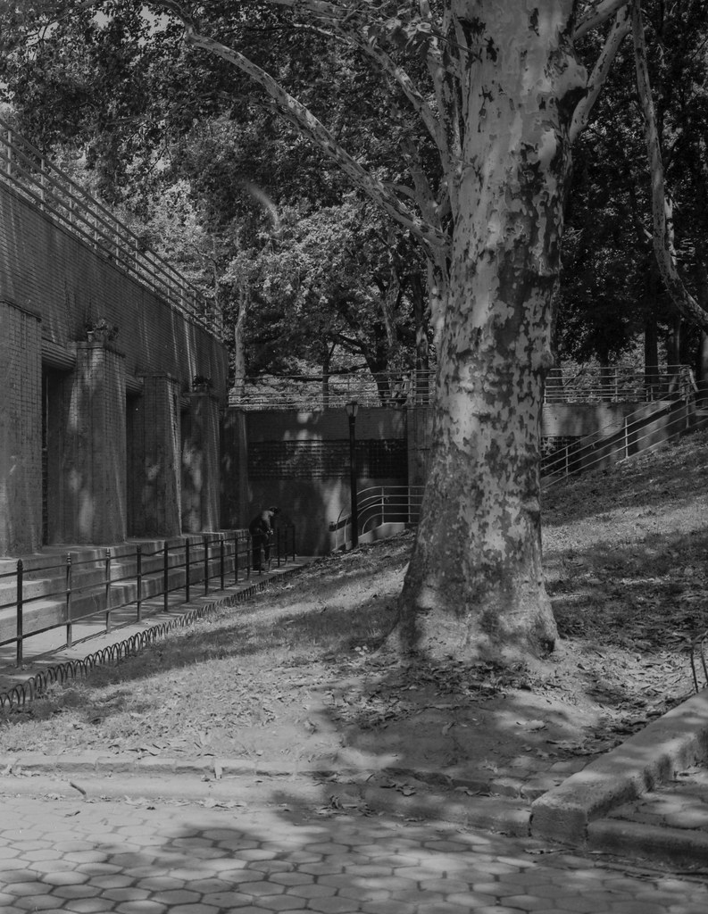 Astoria Park Astoria Pool. The pool was built in the 1930s… Flickr