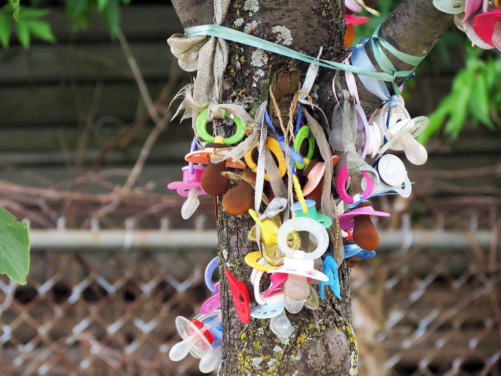 Ford Field playground Northville, Mi. Pacifiers in a pea… Flickr