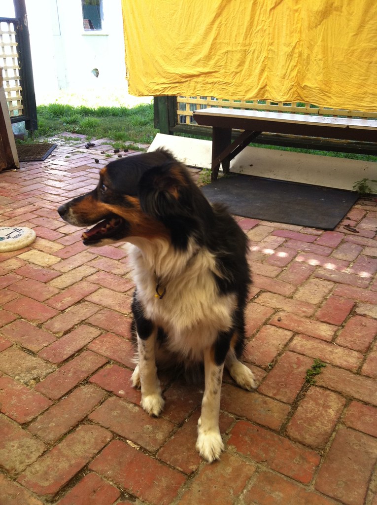 Untitled Glen Robertson Flickr