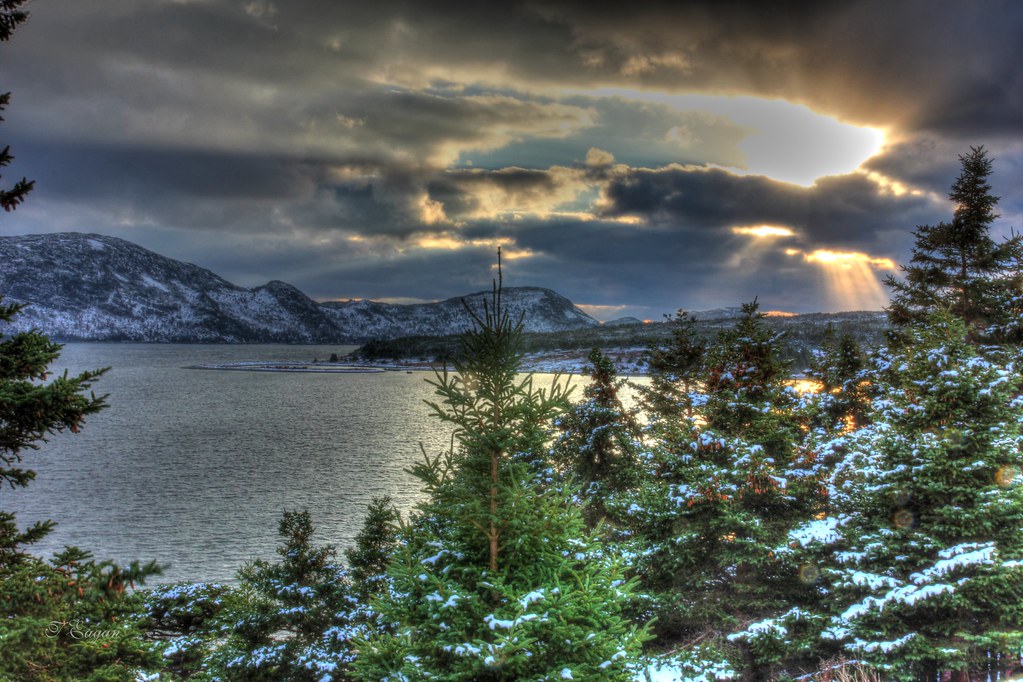 Mount Arlington Heights Placentia Bay, Newfoundland Canada… Flickr