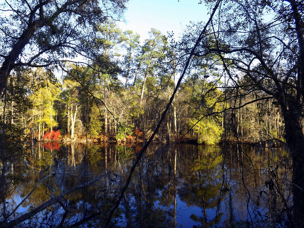 Elevation of Andrew Jackson Hwy SW, Cerro Gordo, NC, USA Topographic