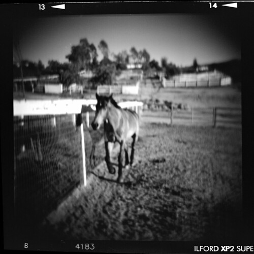 Denver Towards Me Holga 120N Red Filter Ilford XP2 Super 4… Flickr