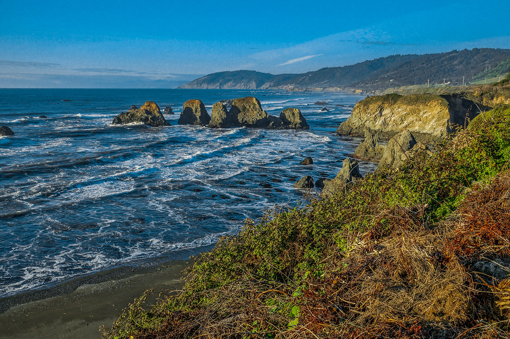 Westport shore DSC00844Mendocino Co, CA The coast at … Flickr