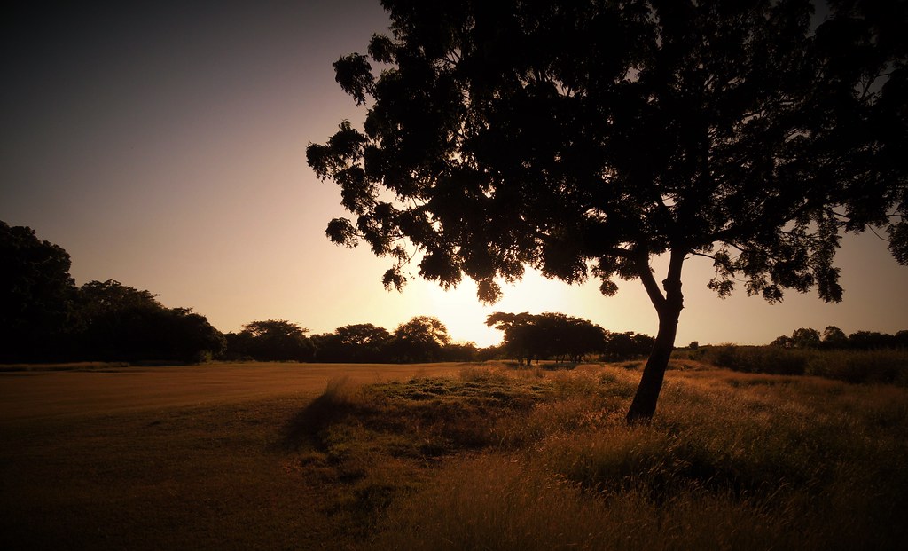 fairway at sunrise damian Flickr