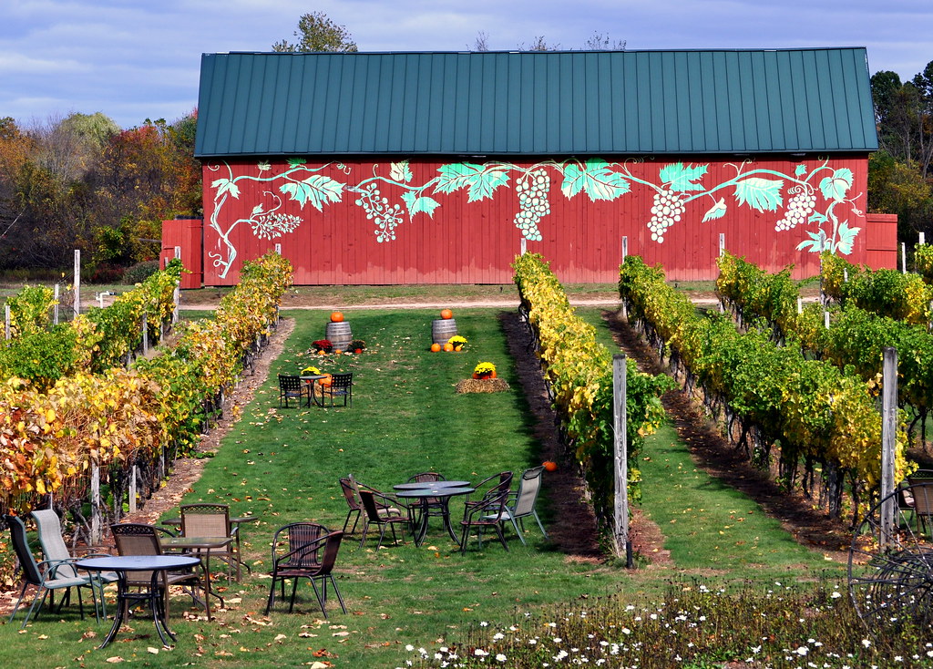 DSC_4669001 Rosedale Farms and Vineyards, Simsbury, CT Scott Green