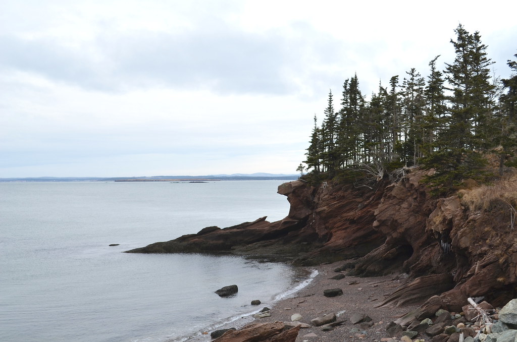 Maces Bay Shoreline Maces Bay, New Brunswick Neal Flickr