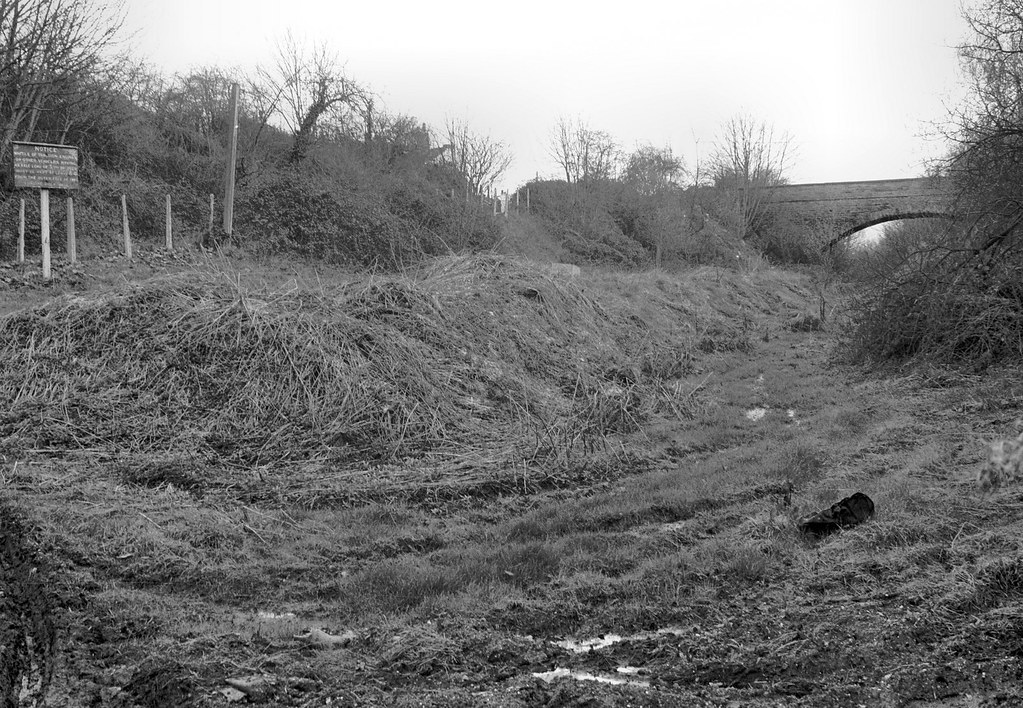 Holme Lacy station (3), 1977 Looking towards RossonWye. Flickr