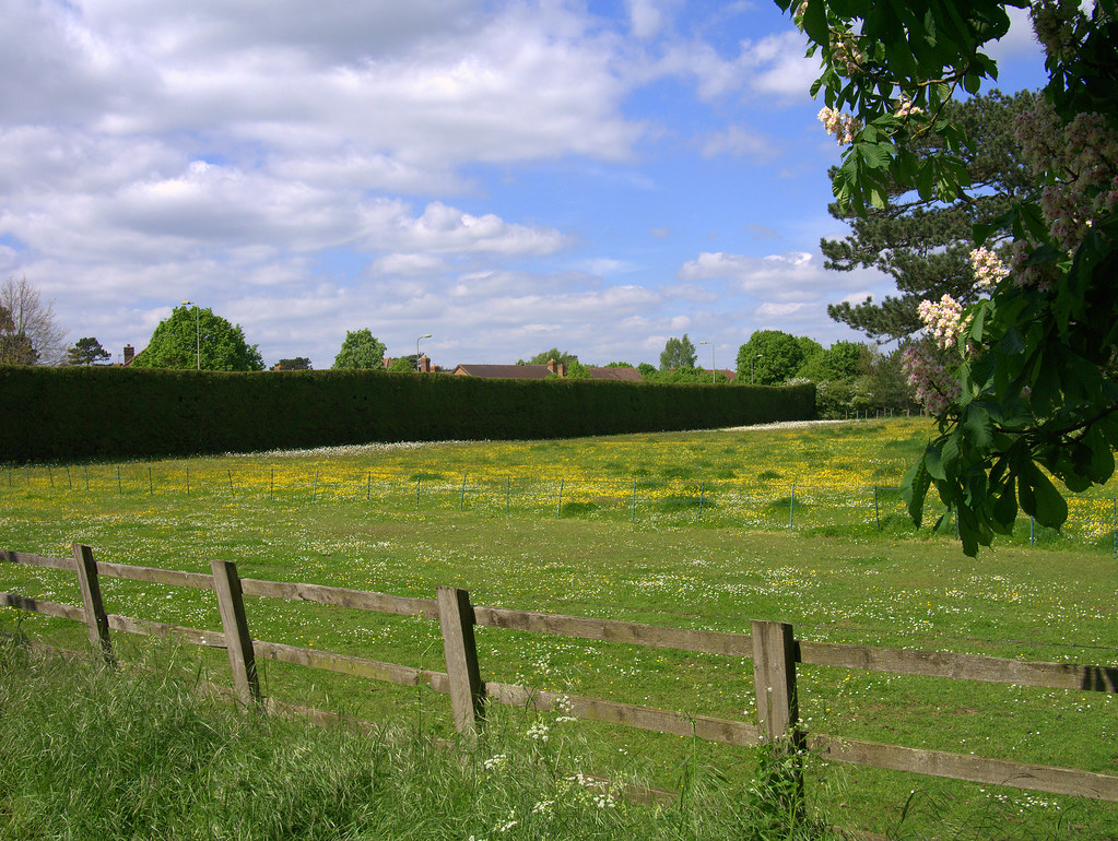 Wick Hall, Radley from nearby footpath A glorious May lunc… Flickr