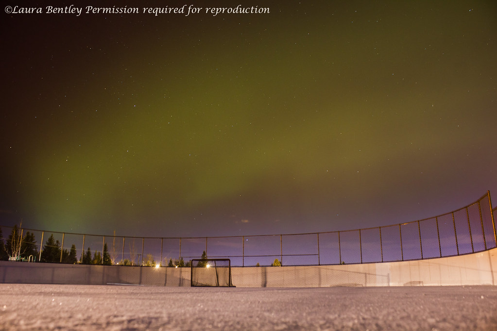 IMG_6726 copy Northern lights over Calgary, Alberta, Canad… Flickr
