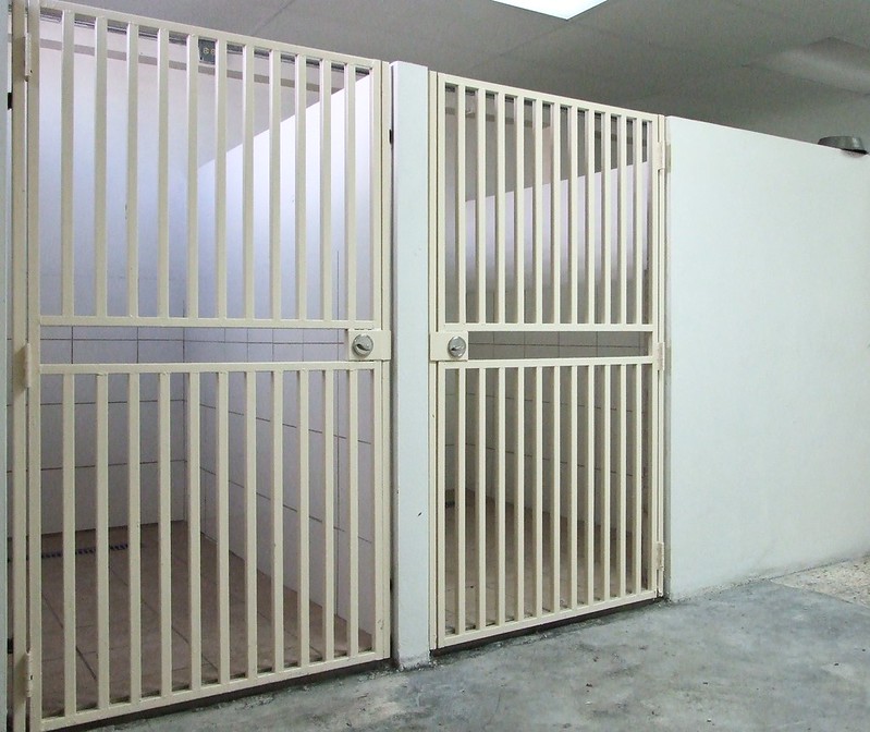 Vet Clinic Bayamon Flickr