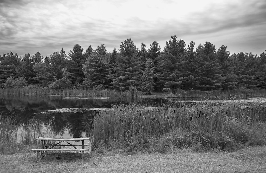 Landscape 2 Erica Gill Flickr