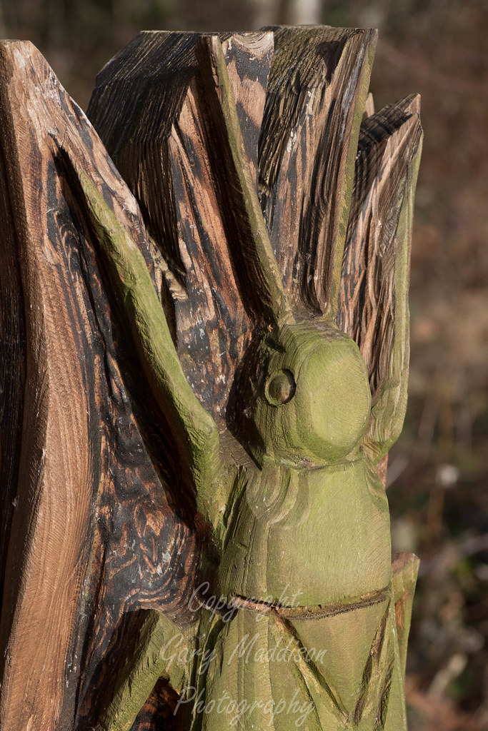 wooden insect wooden insect Gary Maddison Flickr