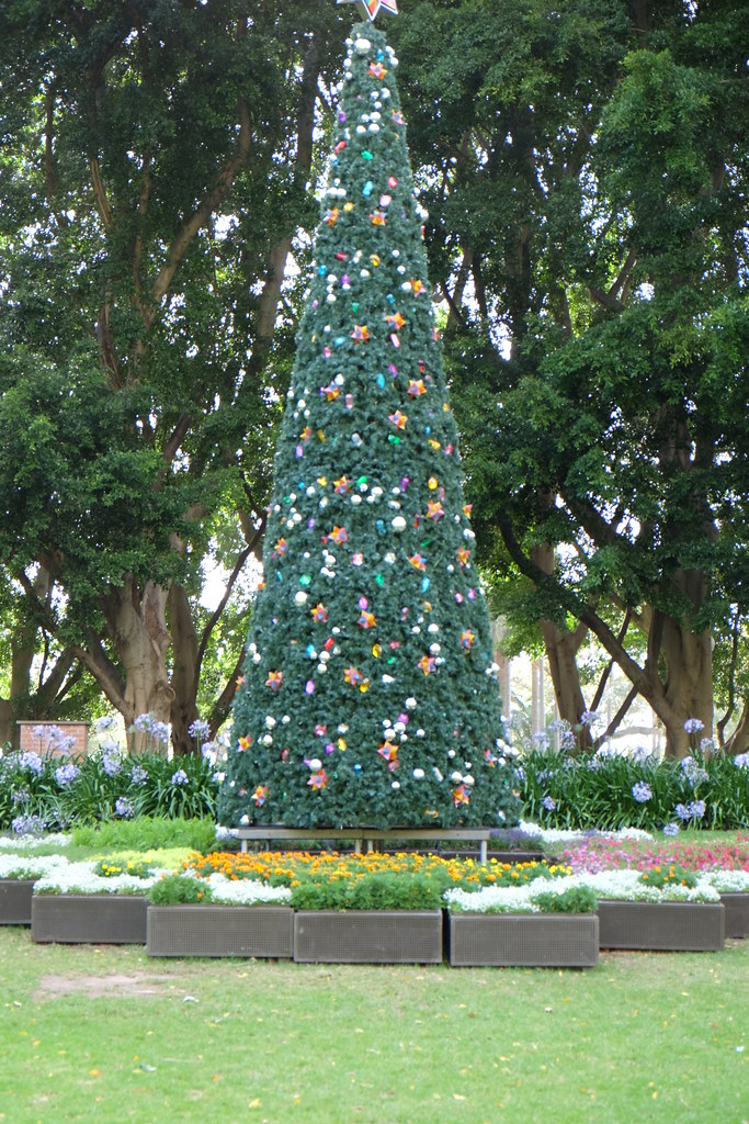 Christmas Tree in Hyde Park Junior_C Flickr