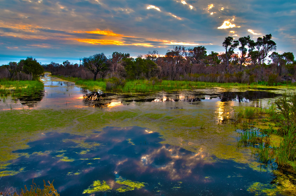 Blackpoint Road Swamp Taimo Viira Flickr