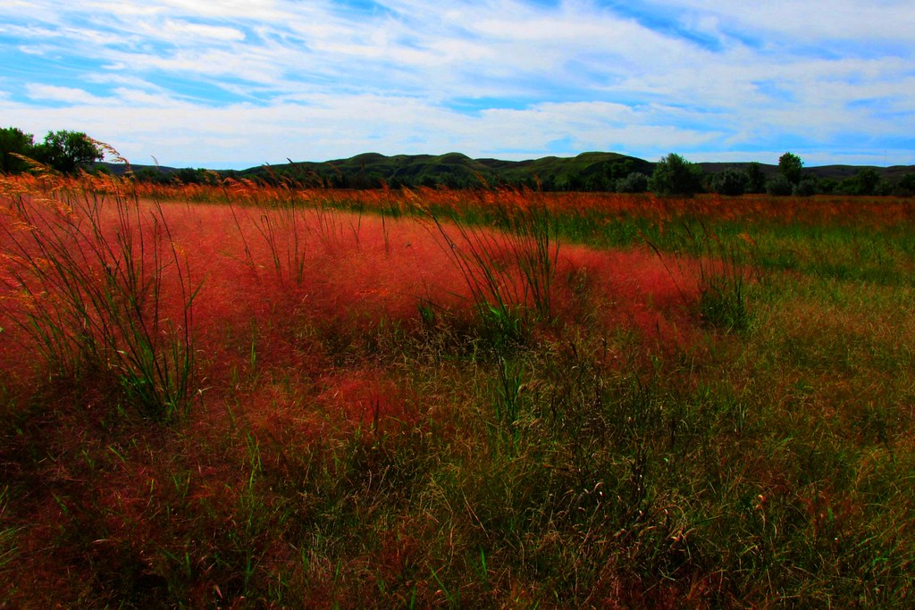 LaFramboise Island in Pierre SD Ay Tequesta Flickr