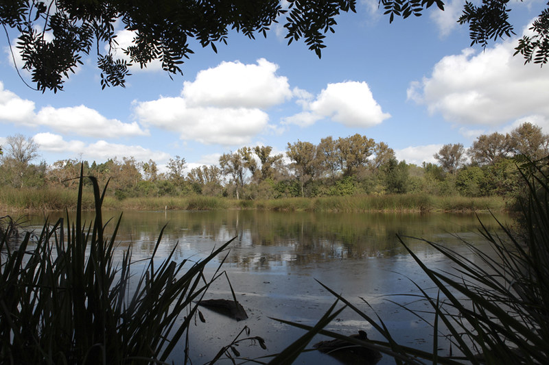 El Dorado Park Flickr